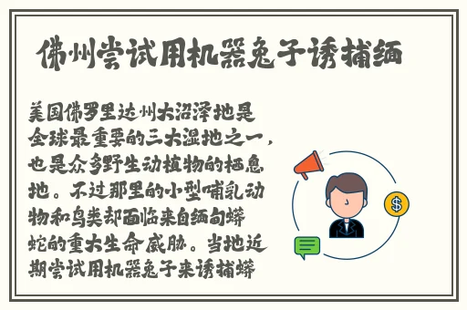 成都影院手机观看免费观看